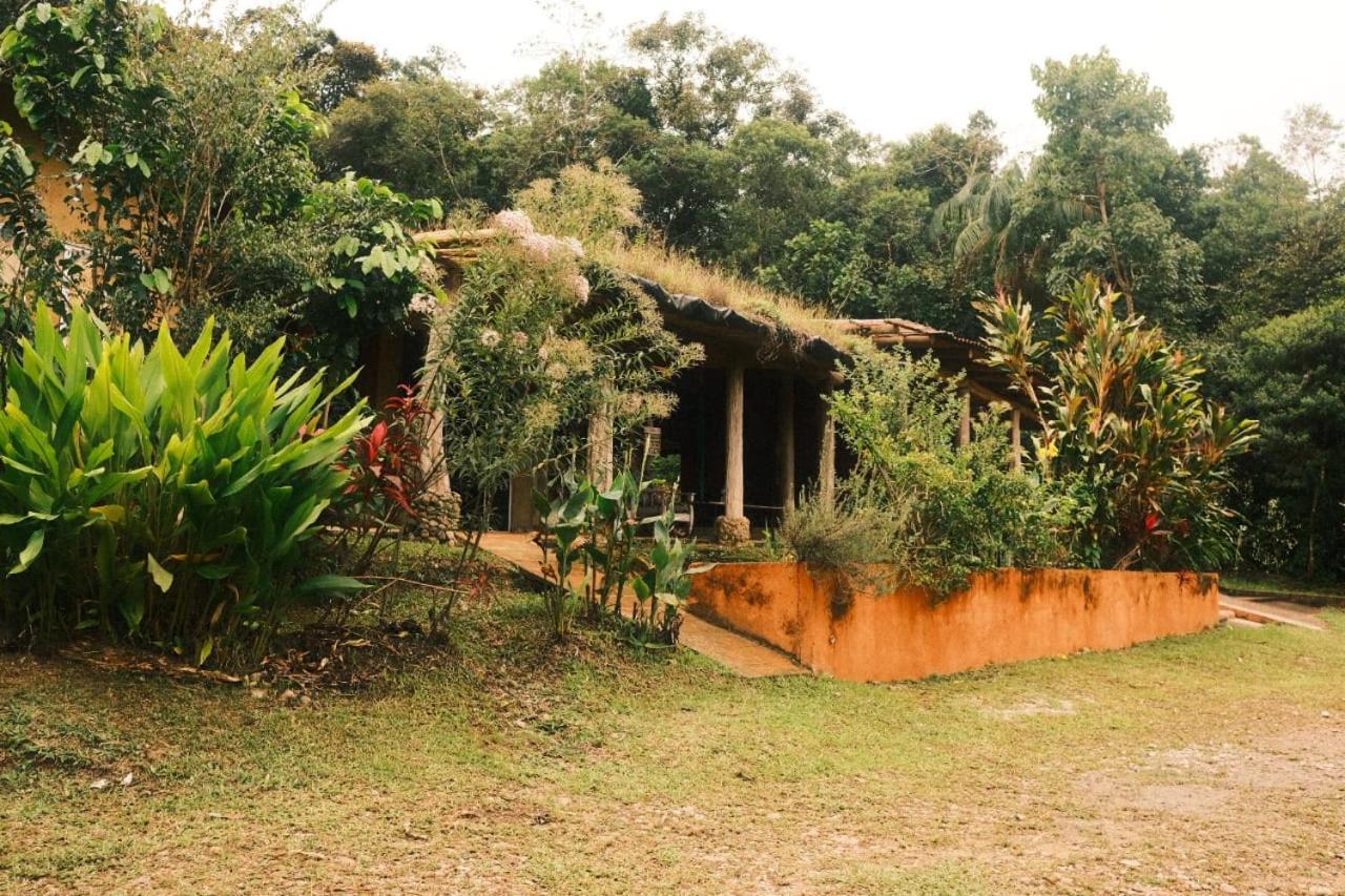 Gaiapia
