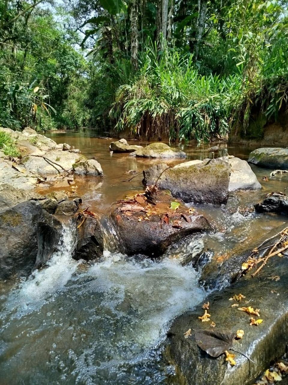 Gaiapia * Morretes